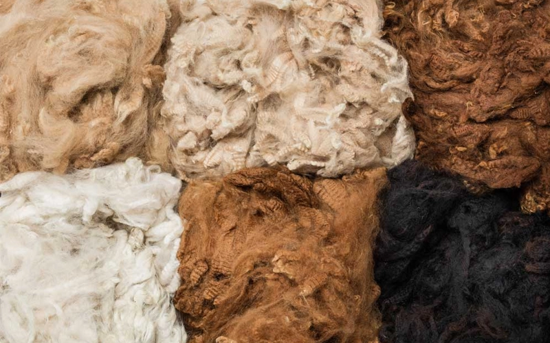 Alpaca Wool in 6 different color.