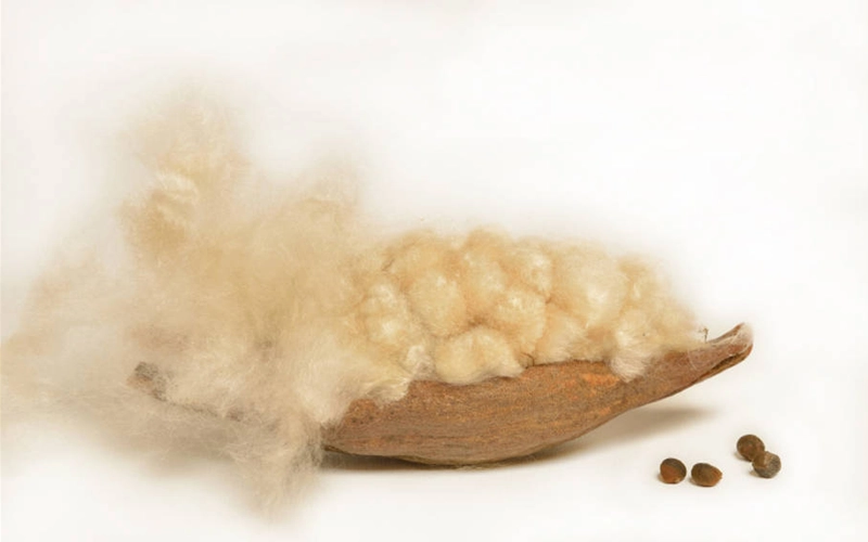 Dark skin color Kapok Fiber