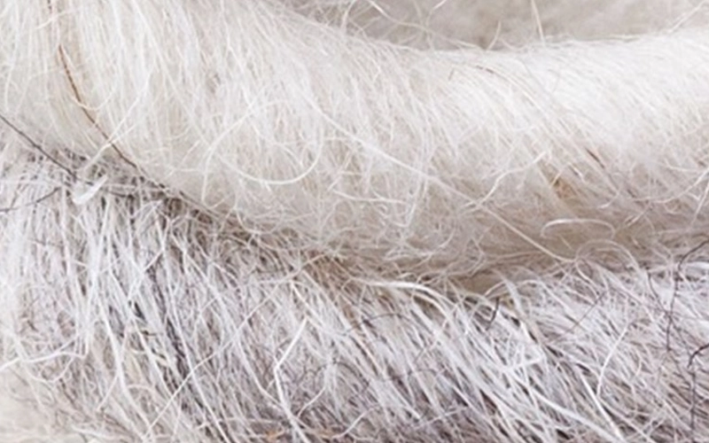 Organic Wool